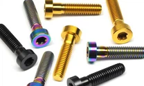 Parafuso Torx Cheese Head Titanium
