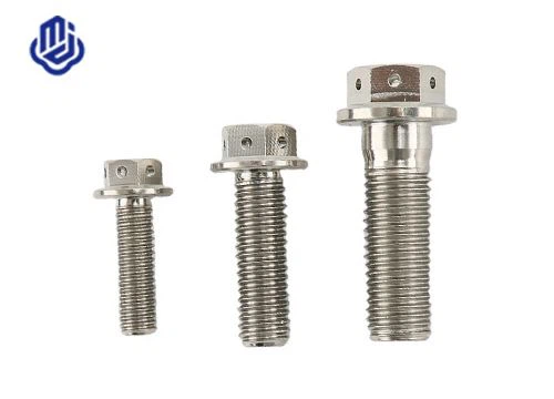 Parafuso de flange do buraco de titânio