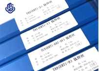 Fio de titânio Gr2 ERTi-2